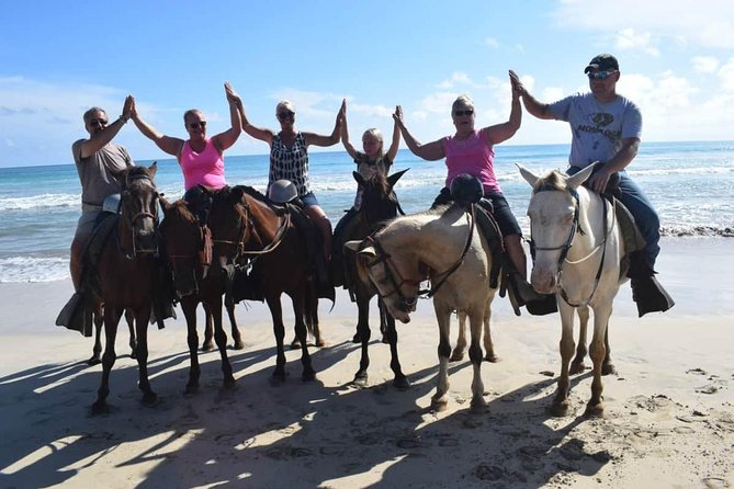 Horseback Riding Tour Adventure on the Beach - Key highlights you should care about