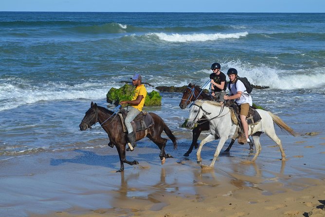 Horseback Riding Tour Adventure on the Beach - From Your Hotel to a North Punta Cana Ranch