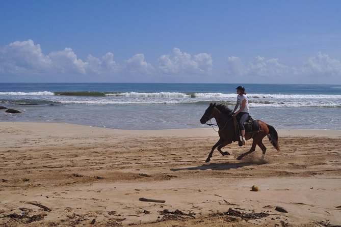 Horseback Riding Tour Adventure on the Beach - Boca de Maimon River Stop: The Breath-Back Moment