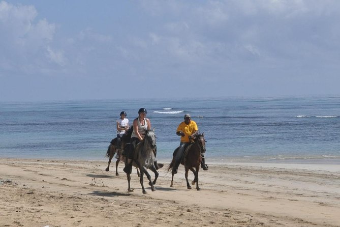 Horseback Riding Tour Adventure on the Beach - Pace, Weather, and What to Bring So You Are Comfortable