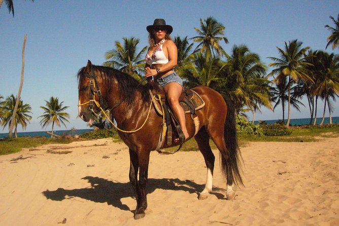 Horseback Riding Tour Adventure on the Beach - Price and What You Actually Get for $99