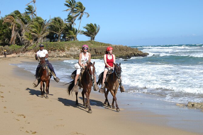 Horseback Riding Tour on the Beaches of Punta Cana - Key things I’d notice before you book