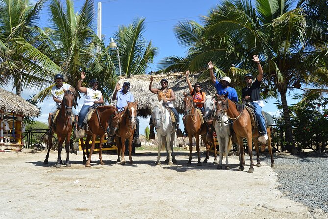 Horseback Riding Tour on the Beaches of Punta Cana - Pickup, Group Size, and the Reality of Shared Tours