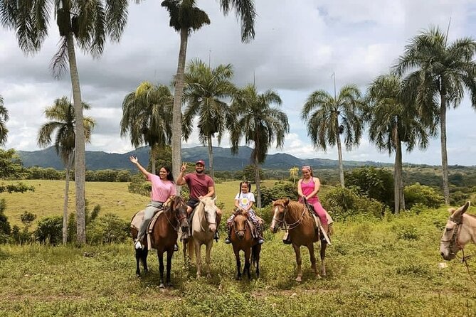Horseback Riding with Pickup from Punta Cana - The cigar-making lesson: a short workshop with history and samples