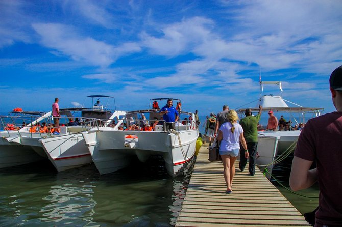 Humpback whales Watching + Samana Eco-Tour - Samana Bay time and what you are really buying