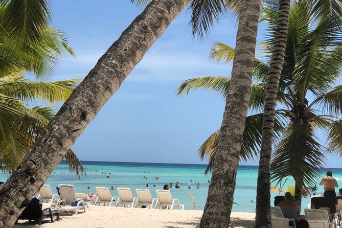 Iberostar Grand Bavaro - Round Trip Shuttle - Punta Cana Airport - Why a private Punta Cana shuttle beats the taxi shuffle