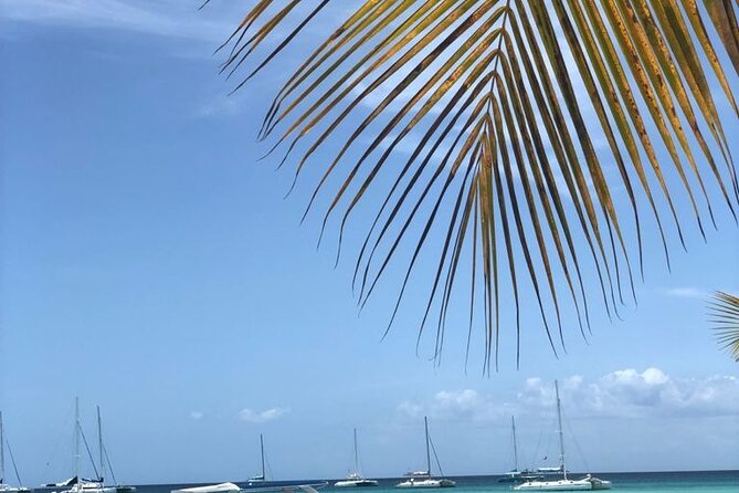 Iberostar Grand Bavaro - Round Trip Shuttle - Punta Cana Airport - Price and value for groups up to 6