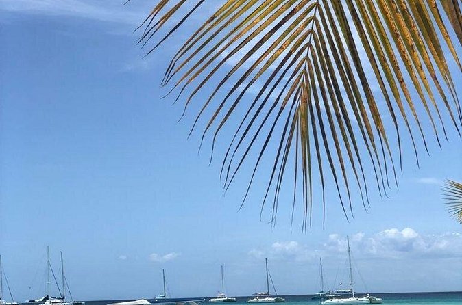 Iberostar Grand Bavaro - Round Trip Shuttle - Punta Cana Airport - Accessibility and practical comfort notes that matter