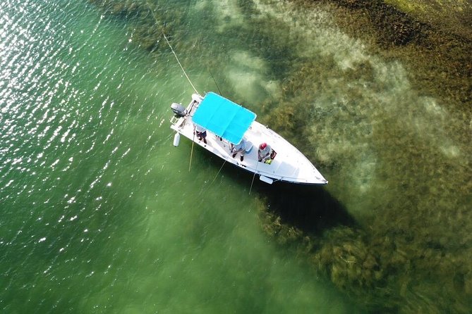 Inshore & Fly Fishing Punta Cana Private charter at Marina Cap Cana - How this Punta Cana charter actually feels, 4 hours at sea