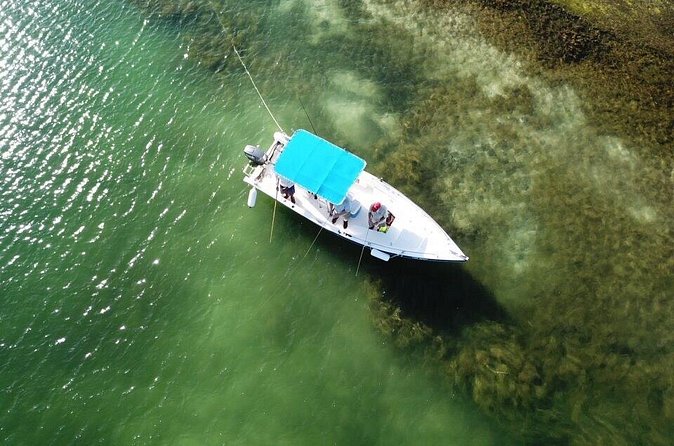 Inshore & Fly Fishing Punta Cana Private charter at Marina Cap Cana - Private group logistics: small group, big difference