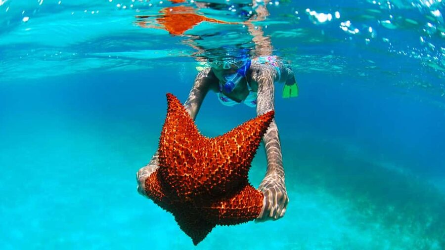 isla saona día completo - Key things to know before you go