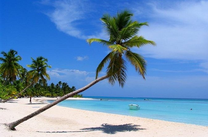 Isla Saona El Paraiso del Caribe - Lunch and Drinks: Value at $80, and What You Should Expect