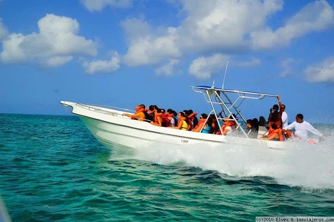 Isla Saona El Paraiso del Caribe - Who This Tour Fits Best