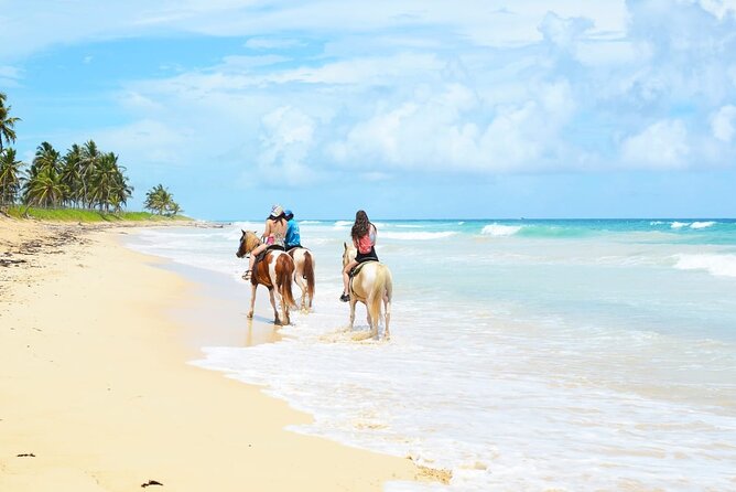 Jungle and Beach Horse Ridding round trip transportatin. - Key highlights you should know before you go