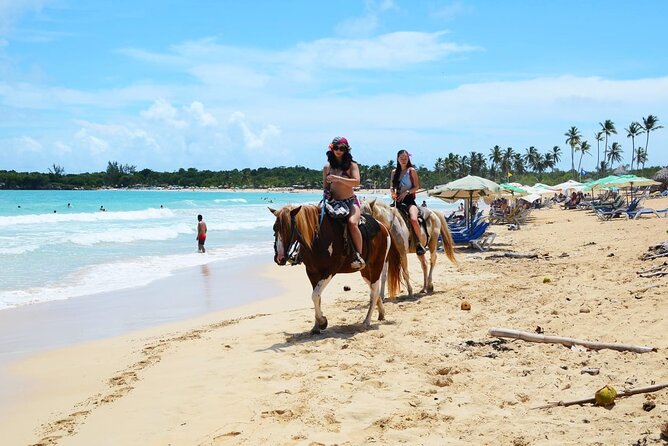 Jungle and Beach Horse Ridding round trip transportatin. - The coffee, cacao, and cigar workshop you actually take part in