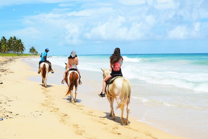 Jungle and Beach Horse Ridding round trip transportatin. - How long it lasts, and how that affects your expectations