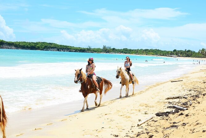 Jungle and Beach Horse Ridding round trip transportatin. - Price and value: is $51 per person a fair deal?