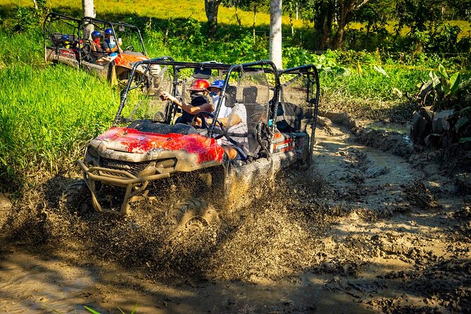 Jungle Buggies and Monkeyland from Punta Cana - Jungle Buggies and Monkeyland, the highlights that matter