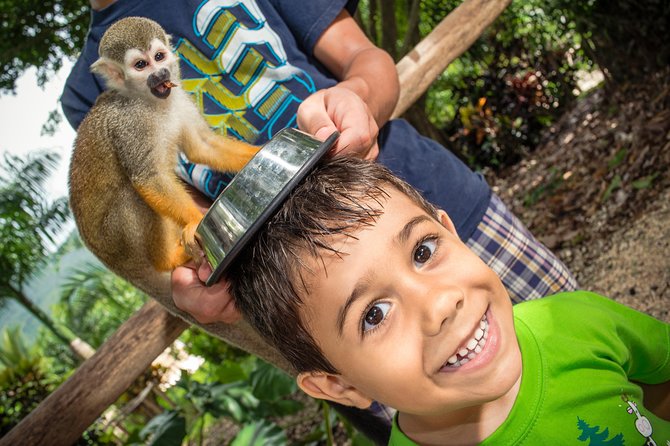 Jungle Buggies and Monkeyland from Punta Cana - Lunch and included food: what you should expect
