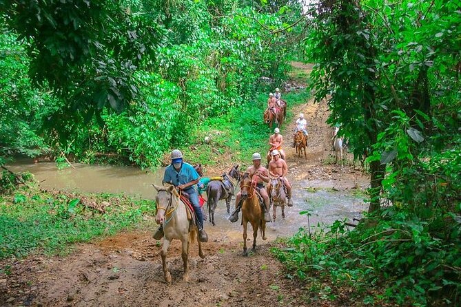 Jungle Buggies + Zilplining + Horseback Ride + Countryside + Macao Beach - Macao Beach Dip: A 30-Minute Cool Down in Real Beach Water