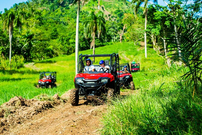 Jungle Buggies + Ziplines Adventures - Key Points You Should Know Before You Go