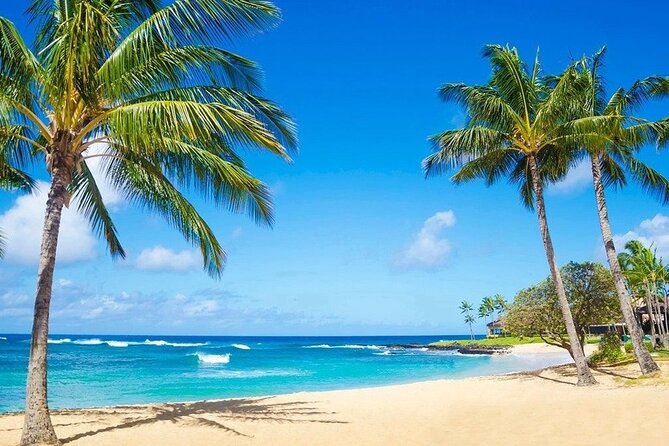 Kayak Adventure Photography on the beach - The Beach Photo Stop With Palm Trees and Drone-Style Video