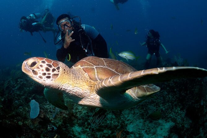 Learn to Scuba Dive in Punta Cana - Key Highlights You Should Care About