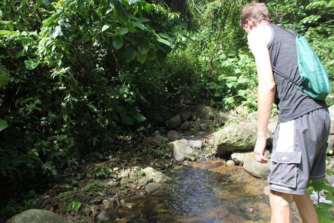 Let's do hiking in Punta Cana - Route Basics: Vista Alegre to Anamuya in About 4 Hours