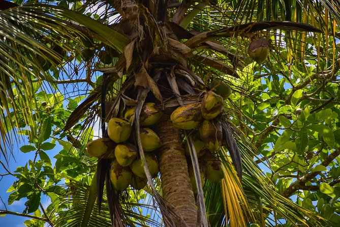 Let's do hiking in Punta Cana - Getting Off the Main Roads: The Drive and the “Now We’re Here” Moment