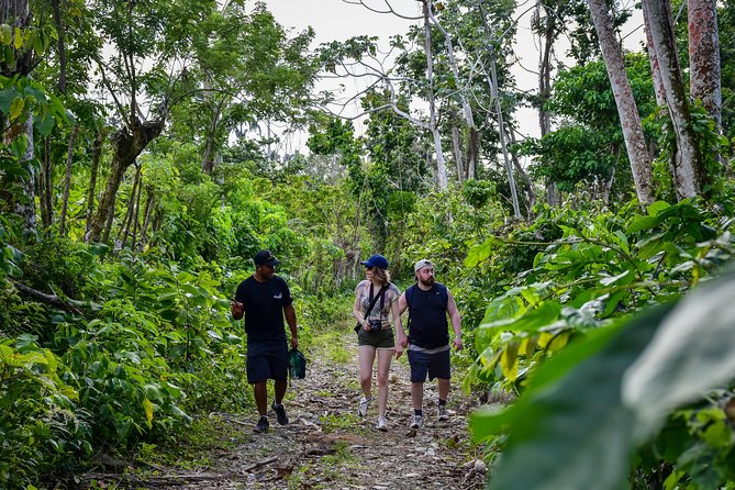 Let's do hiking in Punta Cana - Steep Sections, Mud, and Footwear That Won’t Betray You
