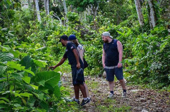 Let's do hiking in Punta Cana - Wildlife and Plant Spotting: How the Guide Makes It Click
