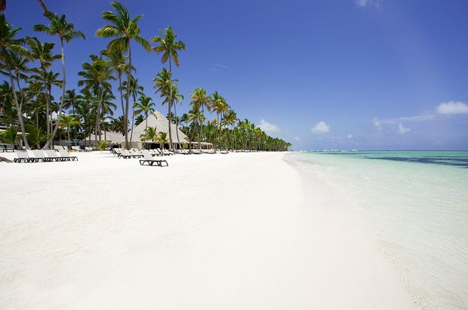 Live Aqua Beach Resort Punta Cana - Round Trip Shuttle - Punta Cana Airport - Getting There in Real Life: 45 to 50 Minutes in Punta Cana