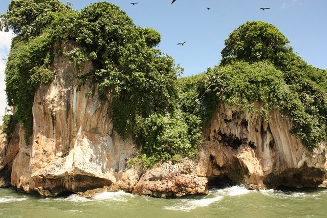 Los Haitises National Park, Montaña Redonda & Bacardi Island - Why This Bacardi Island and Los Haitises Combo Works
