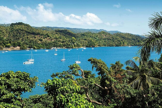 Los Haitises National Park, Montaña Redonda & Bacardi Island - Price and Value: What $203 Buys You on a Packed Day