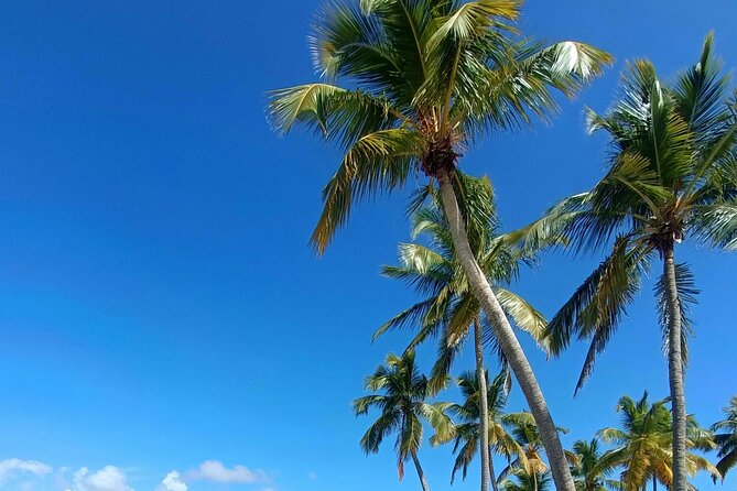Los Haitises National Park, Montaña Redonda & Bacardi Island - Who This Tour Suits Best (and Who Should Skip It)