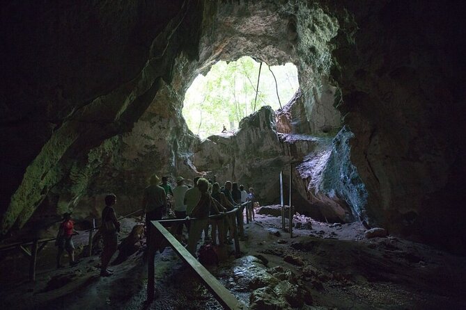 LOS HAITISES National Park - Punta cana - Taino petroglyphs in limestone caves