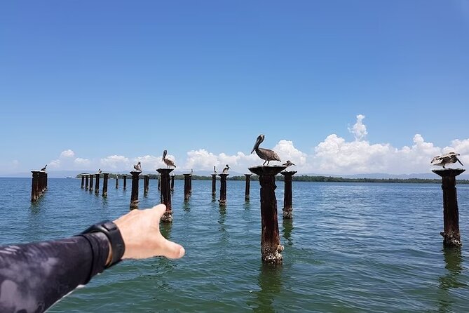 LOS HAITISES National Park - Punta cana - What the day’s pace means for your body