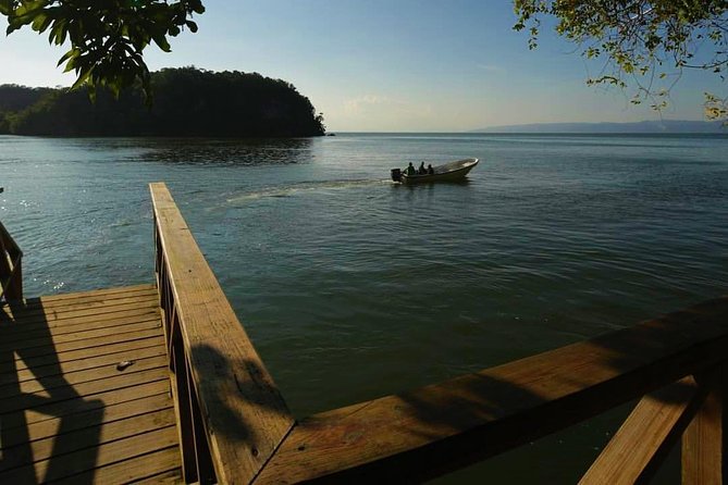 Los Haitises National Park Tour from Punta Cana Montana Redonda and Cano Hondo - Price and logistics: does $120 feel fair?
