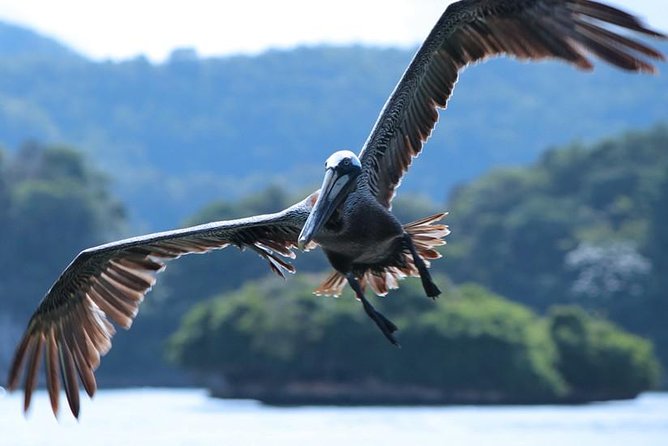 Los Haitises National Park Tour from Punta Cana Montana Redonda and Cano Hondo - The long Punta Cana drive: why it matters and how to handle it