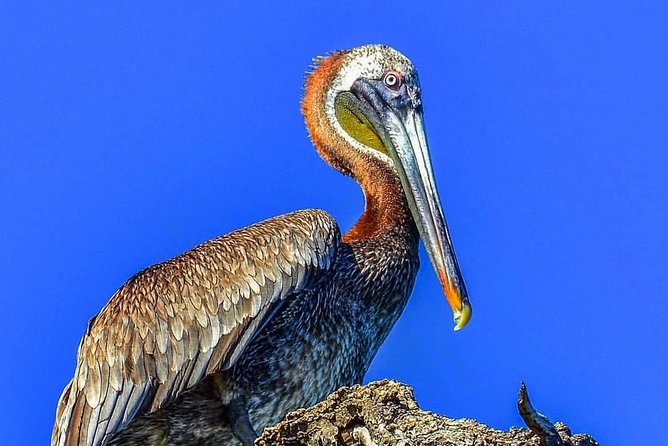 Los Haitises National Park Tour from Punta Cana Montana Redonda and Cano Hondo - A conservation reality check you should not ignore