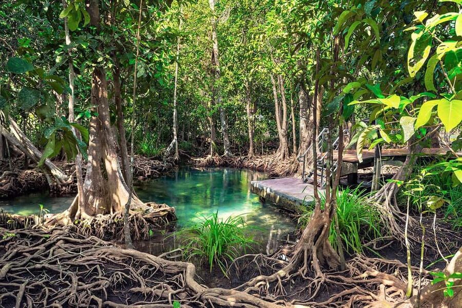 Mangroves, Mogotes and Mountains from Punta Cana - On foot in mogotes and sinkholes: caves, petroglyphs, and pictograms
