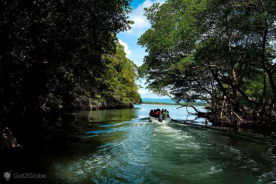 Mangroves, Mogotes and Mountains from Punta Cana - Language and guide vibe: how you’ll get your bearings