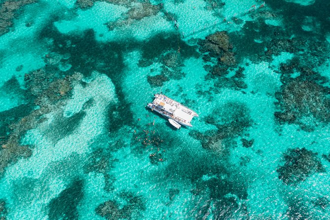 Marinarium Snorkeling Cruise from Punta Cana - Snacks, Unlimited Drinks, and the Swim-Up Bar Break