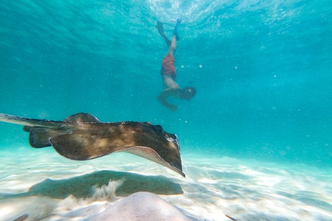 Marinarium Snorkeling Cruise from Punta Cana - Pickup and Timing: Where the Day Can Go Smooth or Snag