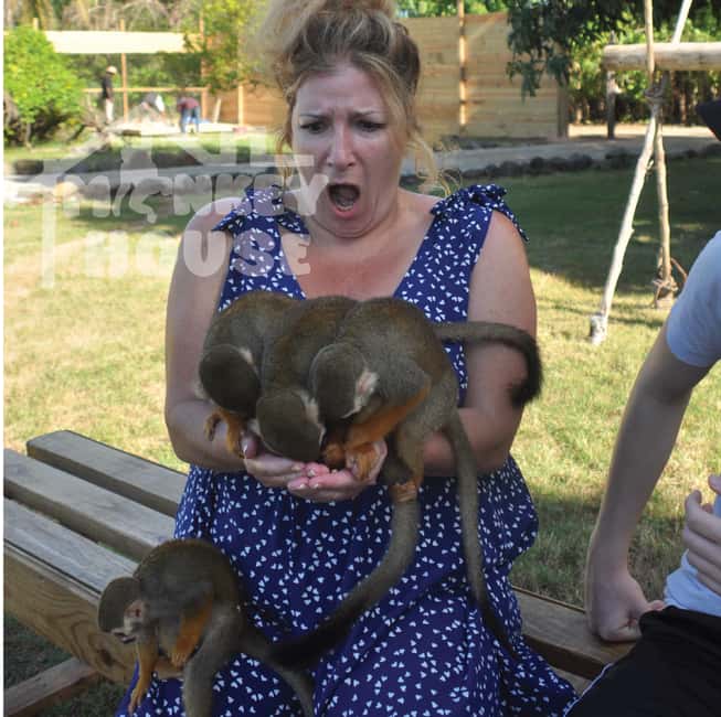 Monkey House VIP – An exclusive experience in Punta Cana - Key points before you go