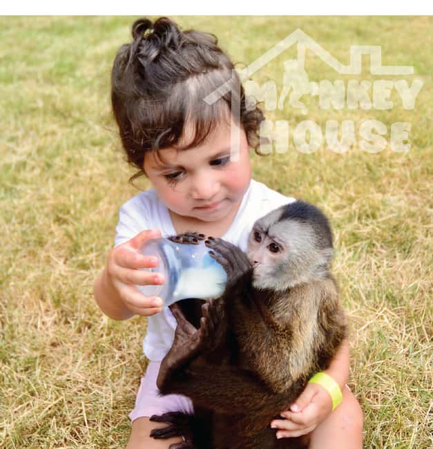Monkey House VIP – An exclusive experience in Punta Cana - Monkey House VIP in Punta Cana: the real value