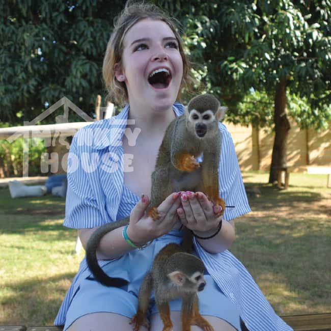 Monkey House VIP – An exclusive experience in Punta Cana - VIP Monkey House admission: what the interaction is like