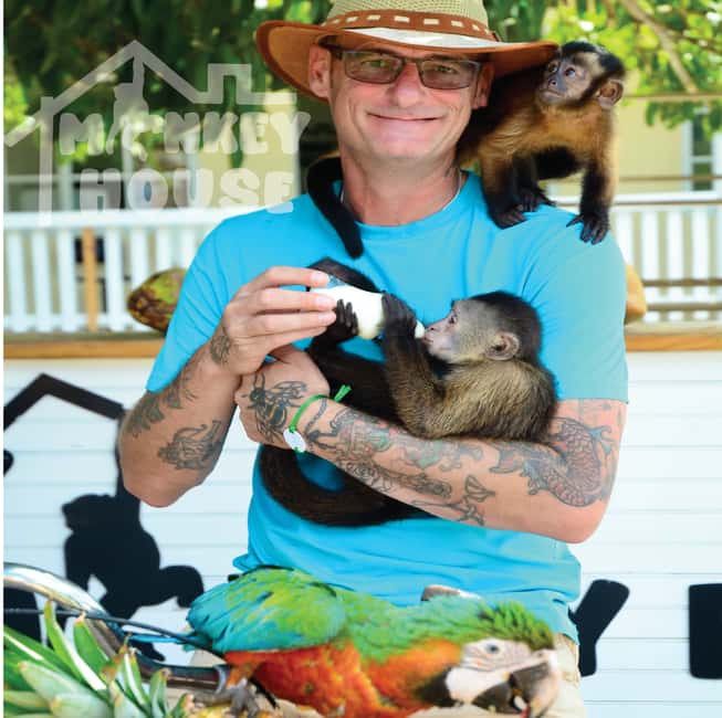 Monkey House VIP – An exclusive experience in Punta Cana - The 150 minute flow: pickup, VIP entry, and your monkey time