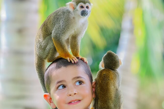 Monkey House VIP Experience with 4 species of monkeys, Punta Cana - Your Phone, Their Cameras, and the Photo-Package Question