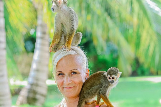 Monkey House VIP Experience with 4 species of monkeys, Punta Cana - Safety, Staff Support, and That Real-World Mess